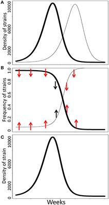 Negative Frequency-Dependent Selection Is Frequently Confounding